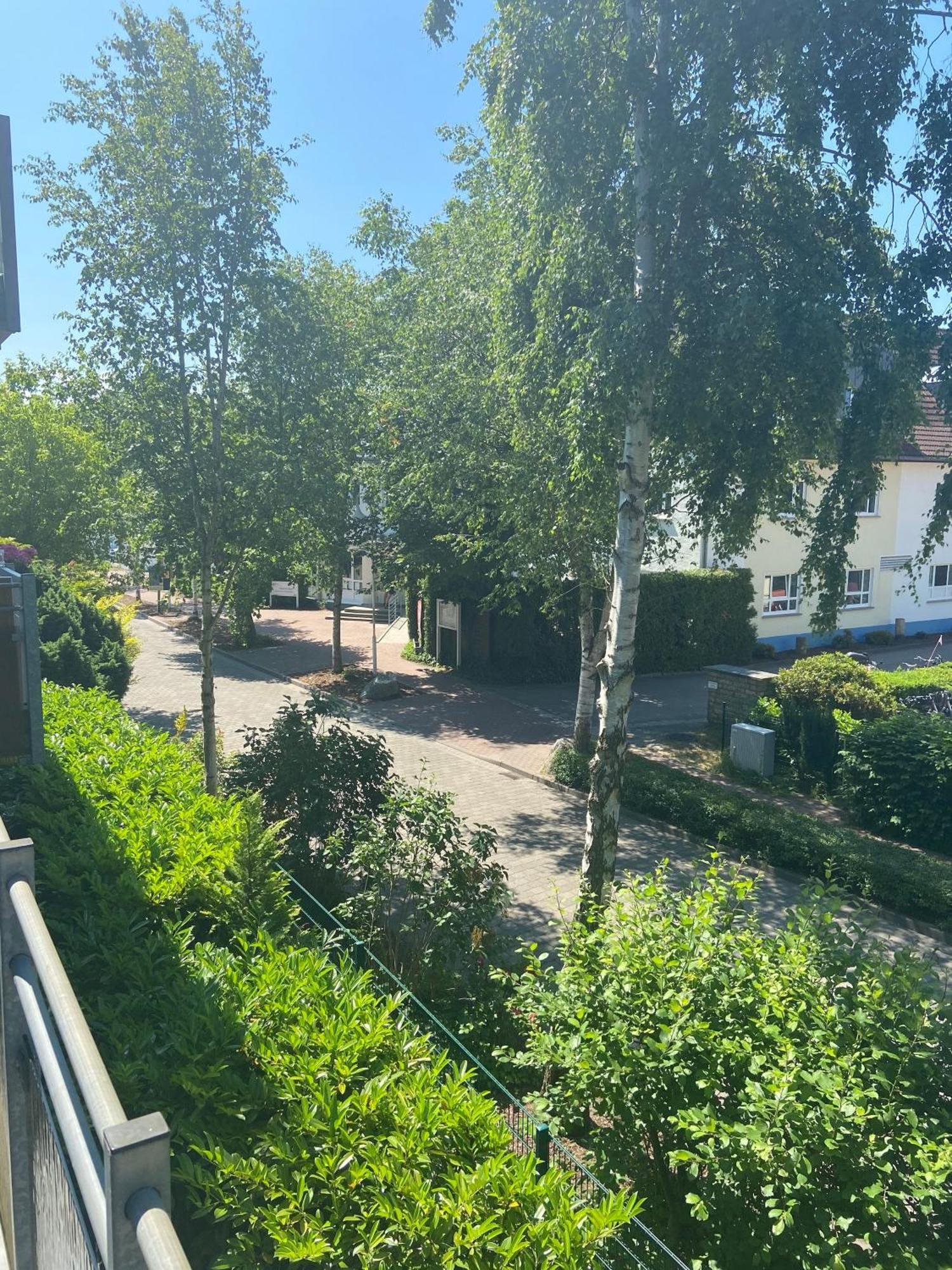 Meeresrauschen Zingst Bagian luar foto